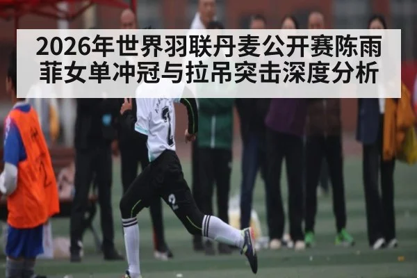2026年世界羽联丹麦公开赛陈雨菲女单冲冠与拉吊突击深度分析